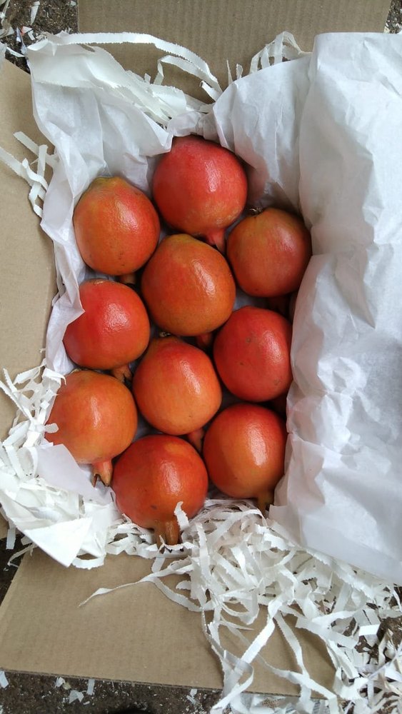 Fresh Pomegranate